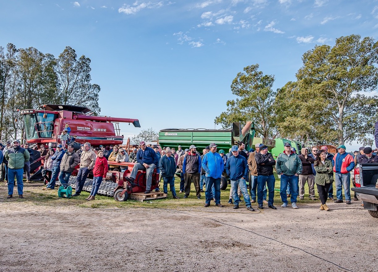 subasta online , fierroportal , compra de maquionas , venta de maquinas , copmpra de niveladoras , compra de pulverisadorees , compra de john deere , compra de new holland , compra de case , venta de john deere , venta de new holland , venta de case fierro portal , fierooportal , Fierroportal , FIERROPORTAL ,portalfierro fieroportal , venta de maquinaria agricola , colocacion de tractores , tractores sanos , pocas horas de uso , venta de cosechadora , compra de cosechadora