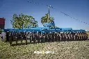 Fierrio Portal-3 (1).webp