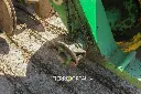 Sin título-630.webp