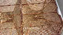 IMG_6242.webp