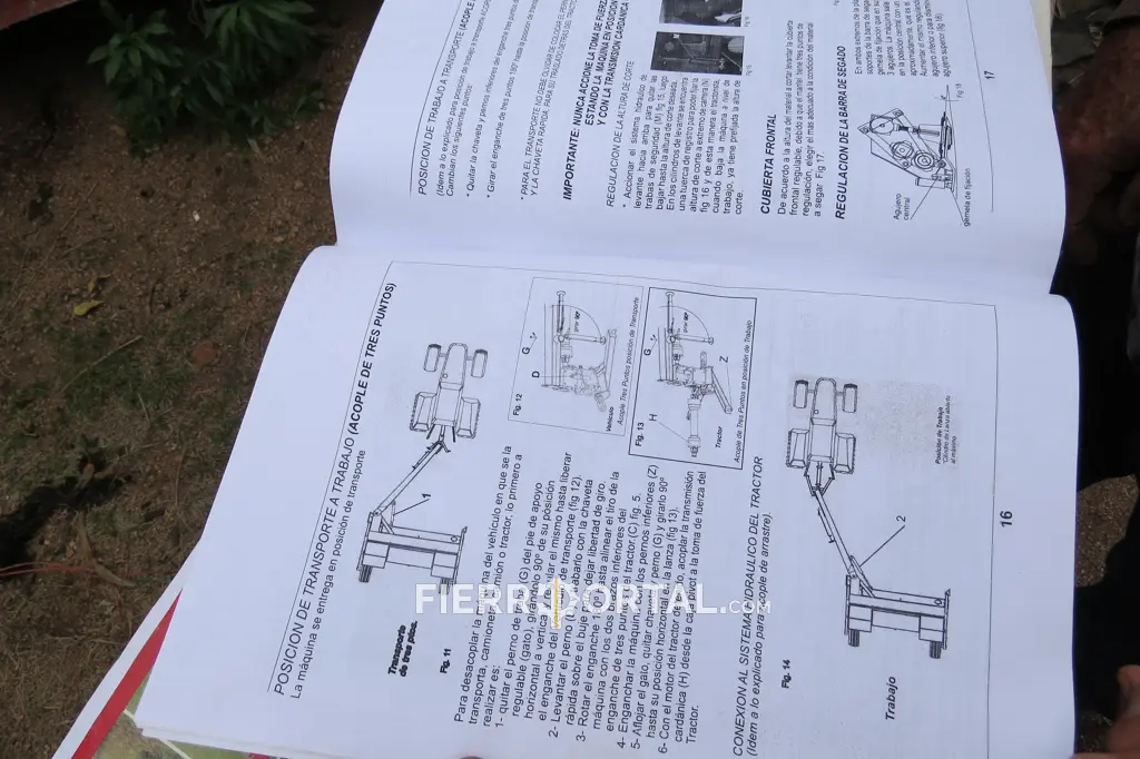 IMG_2951.webp