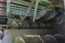 Sin título-2258.webp