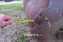 Sin título-3102.webp