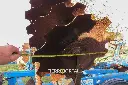 Sin título-3101.webp