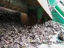 Sin título-4215.webp