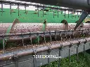 Sin título-4183.webp