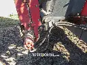 Sin título-4330.webp