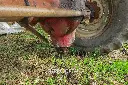 Sin título-2778.webp