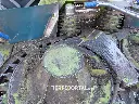 Sin título-4564.webp