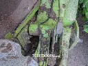 Sin título-4574.webp