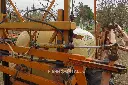 Sin título-5311.webp