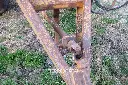 Sin título-5007.webp