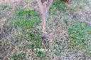 Sin título-5005.webp