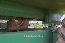 Sin título-5758.webp