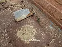 Sin título-5105.webp