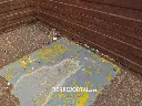 Sin título-5104.webp