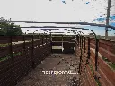Sin título-5051.webp