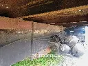 Sin título-5066.webp