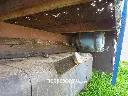 Sin título-5060.webp