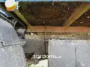 Sin título-5059.webp