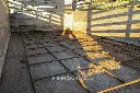 Sin título-6251.webp