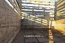Sin título-6252.webp