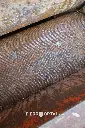 Sin título-1010.webp