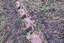 Sin título-6464.webp
