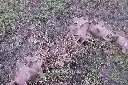 Sin título-6466.webp