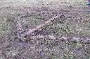 Sin título-6453.webp
