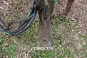 Sin título-918.webp