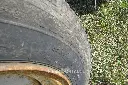 Sin título-7734.webp