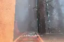 Sin título-8401.webp