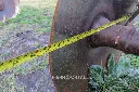 Sin título-8268.webp