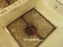 Sin título-4820.webp