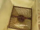 Sin título-4823.webp