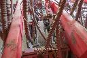 Sin título-7068.webp