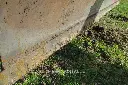 Sin título-8865.webp