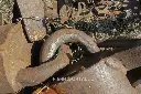 Sin título-7237.webp