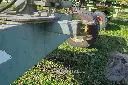 Sin título-8008.webp