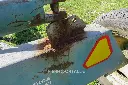 Sin título-8011.webp