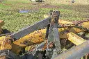 Sin título-7354.webp