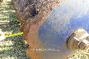 Sin título-7390.webp
