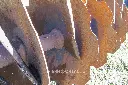 Sin título-7364.webp