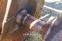 Sin título-7338.webp