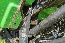Sin título-7460.webp