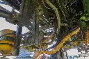 Sin título-7538.webp