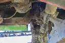 Sin título-7556.webp