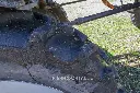 Sin título-7578.webp