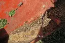 Sin título-7678.webp